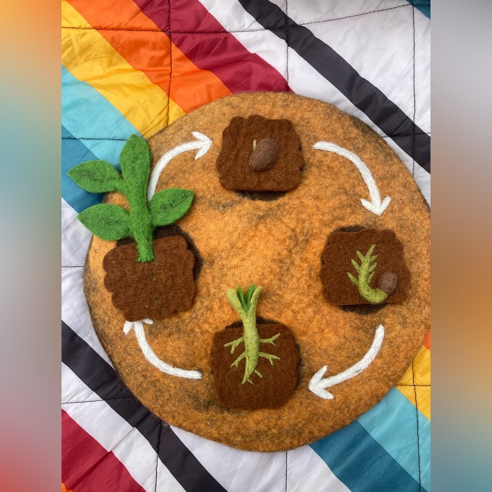 Felt Plant Life Cycle Educational Mat 🌸